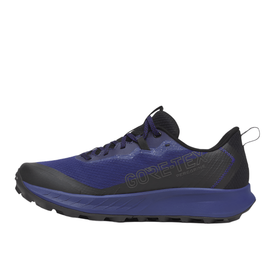 Saucony Shoes Saucony Men's Peregrine 15 GTX Trail Running Shoes in Regal/Black AW25 - Up and Running