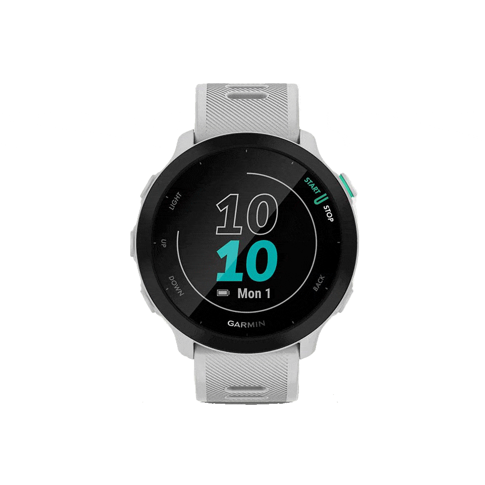 Garmin Electronics Garmin Forerunner 55 White - Up and Running